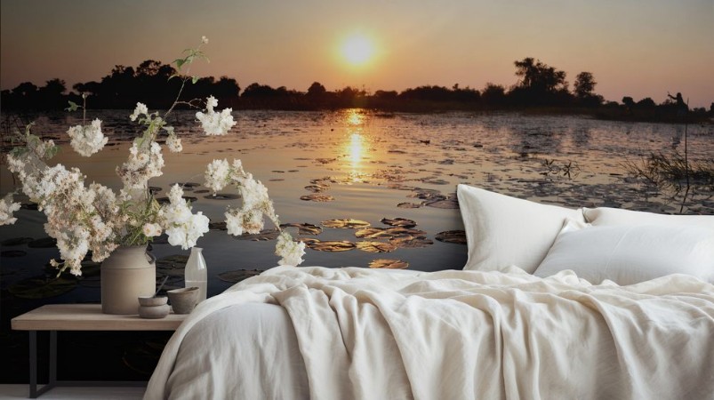 Image de Botswanskt sjö