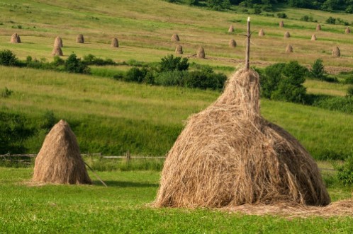 Afbeeldingen van Slavic Haystacks