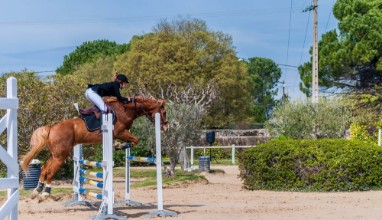 Pilt Equitation saut dobstacles comptition