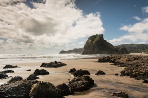 Image de Auckland New Zealand - March 2 2017 Lion rock on Piha Beach of Tasman Sea surrounded by surf and under blue cloudy sky Forefront is sand and dispersed black volcanic rocks