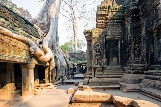 Bild på Ta Prohm Temple Siem Reap Cambodia