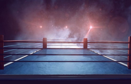 Afbeeldingen van Boxring