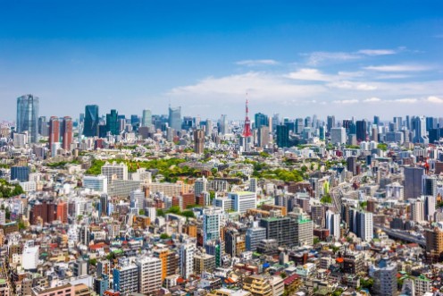 Picture of Tokyo Skyline