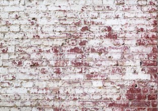 Image de Old brick wall background