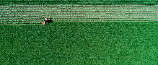 Image de Tractor mowing lucerne