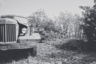 Immagine di 151985507