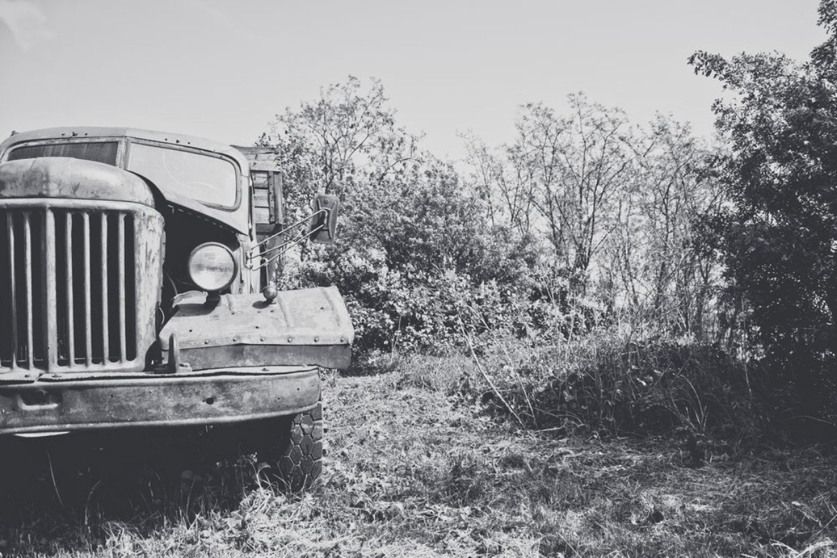 Afbeeldingen van 151985507