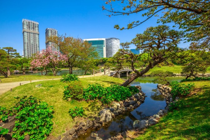 Picture of Hamarikyu Gardens