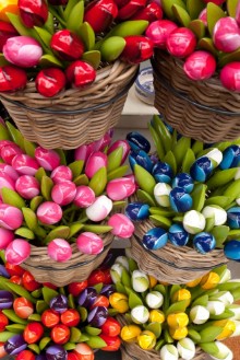 Picture of Wooden tulips - souvenirs in Utrecht - Holland