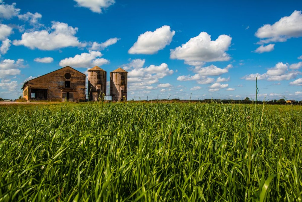 Picture of Forgotten Farm