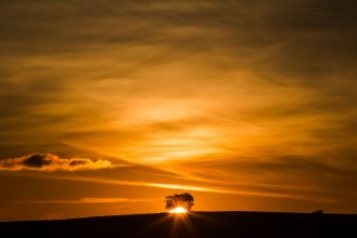 Image de Los ltimos rayos de sol