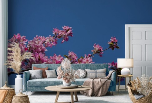 Afbeeldingen van Crab apple branch with multiple pink and fuchsia blossoms and buds against a deep blue cloudless sky Photographed in natural light with shallow depth of field Image has copy space