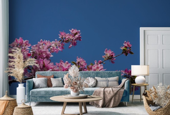 Picture of Crab apple branch with multiple pink and fuchsia blossoms and buds against a deep blue cloudless sky Photographed in natural light with shallow depth of field Image has copy space