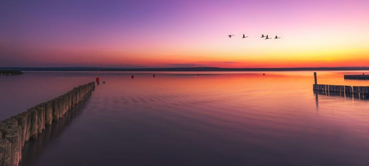 Neusiedlersee Illmitz bei Sonnenuntergang photowallpaper Scandiwall
