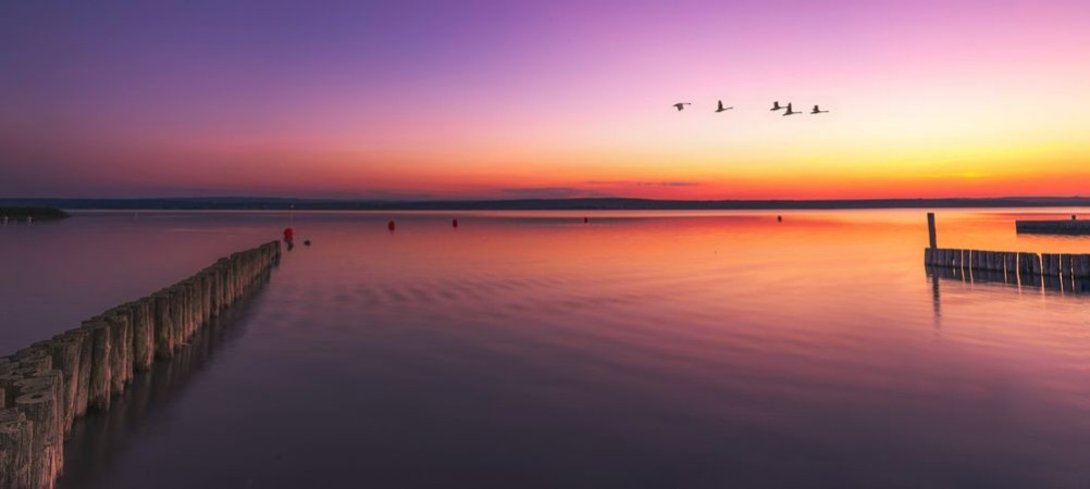 Neusiedlersee Illmitz bei Sonnenuntergang photowallpaper Scandiwall