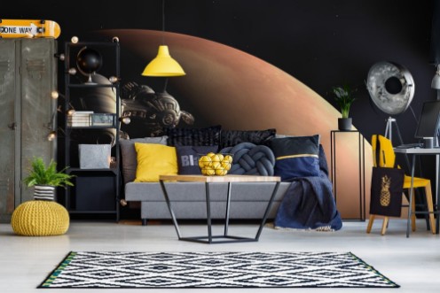 Picture of Die Erforschung des Mars