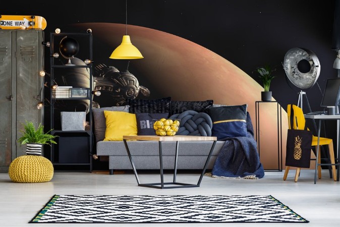 Picture of Die Erforschung des Mars