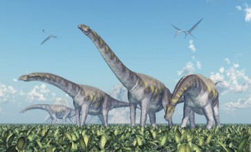 Bild vun Dinosaurier Argentinosaurus
