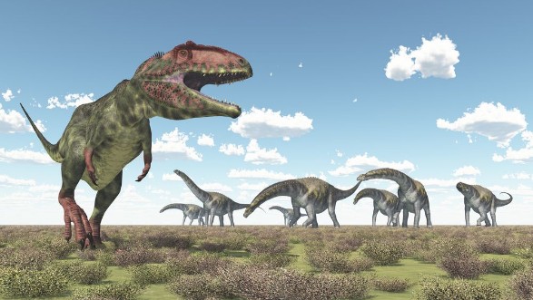Afbeeldingen van Giganotosaurus und Argentinosaurus