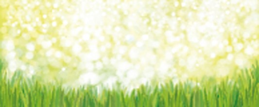 Obrázek Vector green grass  nature background