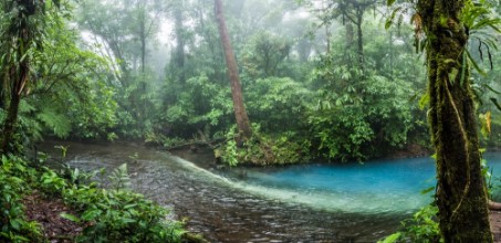 Bild på Rio Celeste blue acid water color mixing in Costa Rica