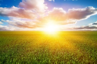 Image de Sunrise over Field