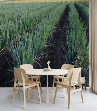 Afbeeldingen van Pineapple Farm