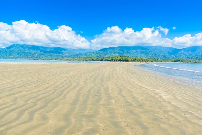 Bild på Marino Ballena National Park in Uvita - Punta Uvita - Beautiful beaches and tropical forest at pacific coast of Costa Rica