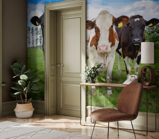 Attēls Drei Milchkhe auf einer Weide Portrait