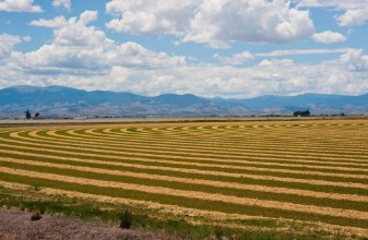 Image de Cut Hay Field Patterns