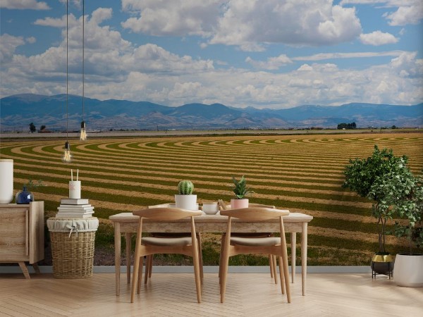 Picture of Cut Hay Field Patterns