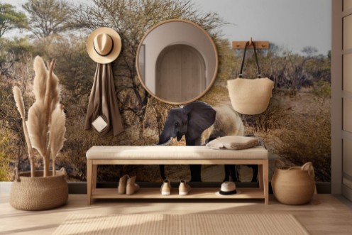 Image de African bush elephant in Kruger National park South Africa