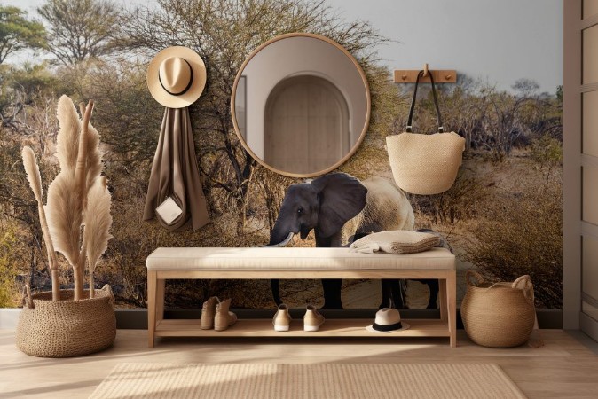 Bild på African bush elephant in Kruger National park South Africa