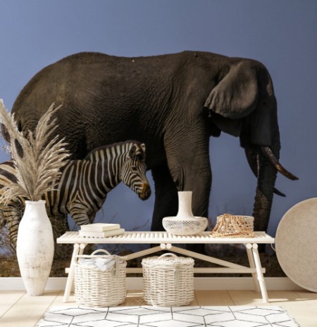 Afbeeldingen van Plains zebra and African bush elephant in Kruger National park South Africa