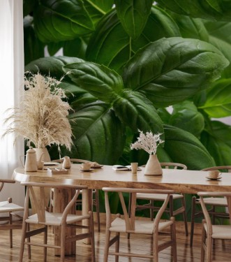 Picture of Bush basil