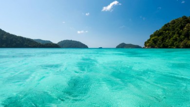 Bild på Beautiful tropical sea at Surin island Thailand