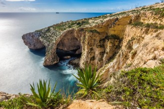 Picture of Malta - The beautiful cliff of the Blue Grotto with plants in front