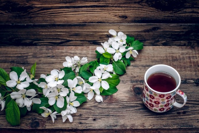 Picture of A branch of apple blossoms and a mug of tea on wooden background