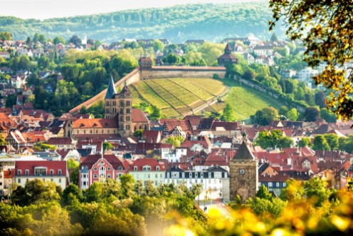 View of Esslingen am Neckar Germany with castle photowallpaper Scandiwall