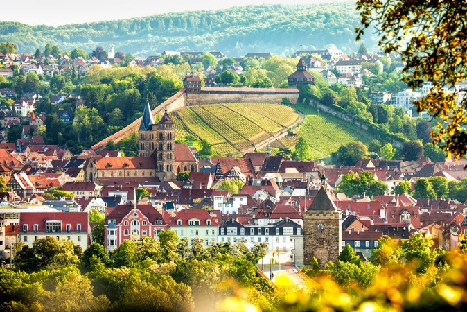 View of Esslingen am Neckar Germany with castle photowallpaper Scandiwall