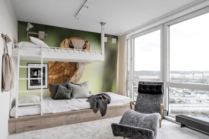 Attēls Western Screech owl