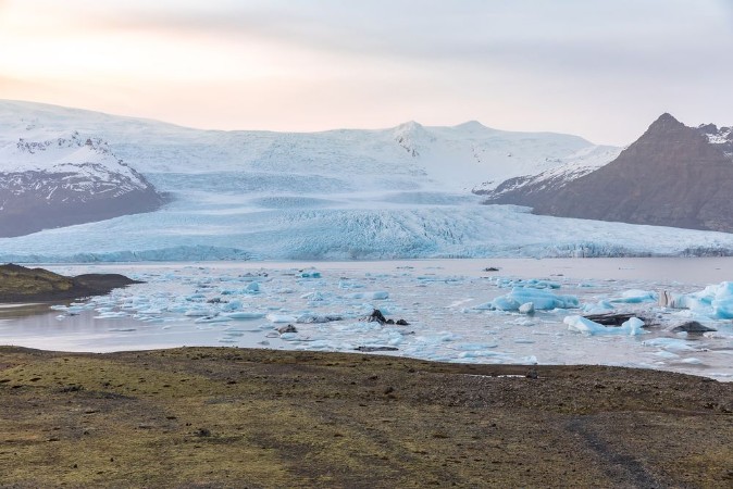 Bild på Fjallsarlon Glacial Lagoon Iceland