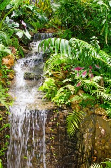 Picture of Waterfall in the Caribbean  Samana 
