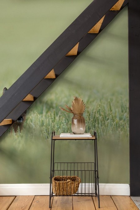 Picture of Chevreuil