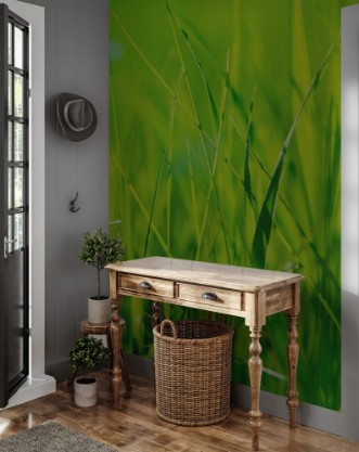 Bild på Fresh green grass in sunset with glow