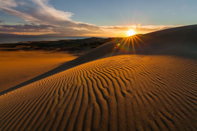 Picture of Golden Dunes