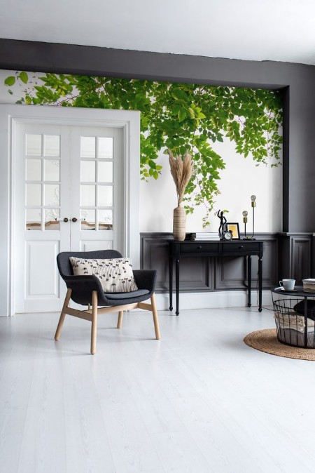 Picture of Vihreä oksa eristettynä