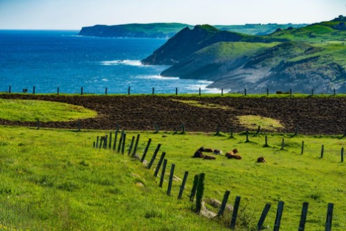 Picture of Landscape ranch
