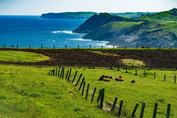 Afbeeldingen van Landscape ranch