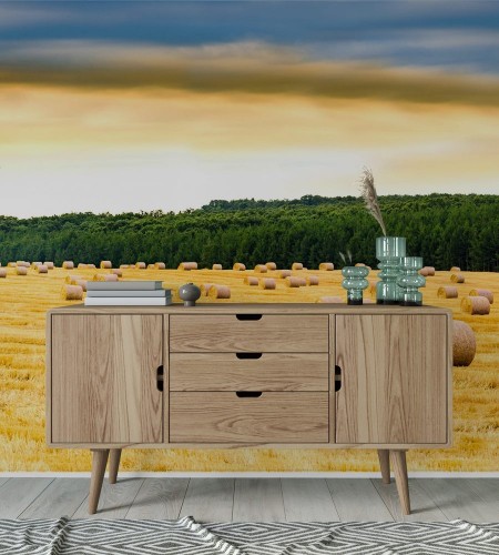 Picture of Panoramic Golden Field